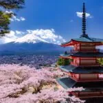 藍染めの起源と日本での発展