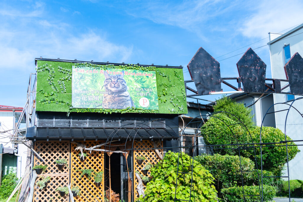 藍染め体験教室 河口湖