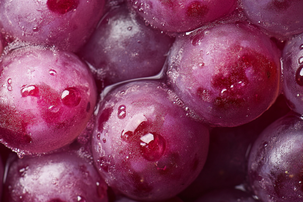 染物体験,河口湖,ぶどう,草木染