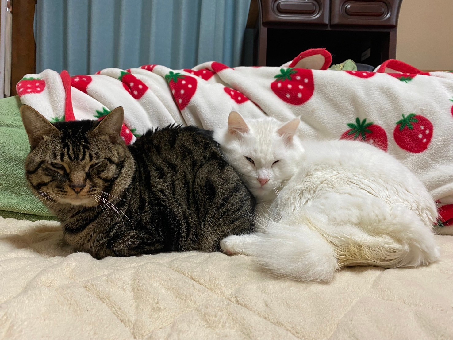 Step 3: 待ち時間も楽しく